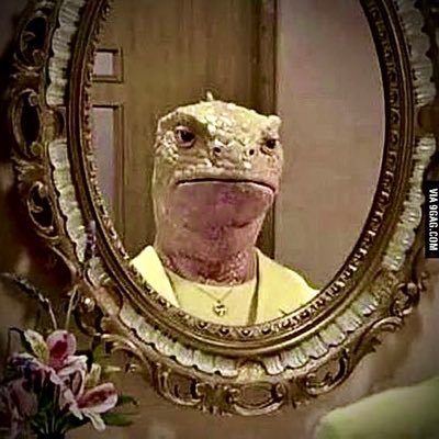 JamesWhela17497's profile picture. 