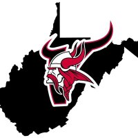 Petersburg Vikings Football (@phsvikingsfb) 's Twitter Profile
