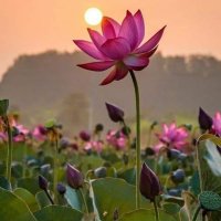 Harish Poonja ಹರೀಶ್ ಪೂಂಜ (@hpoonja) 's Twitter Profile