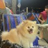 PanjareePanjar1's profile picture. ชลบุรี
