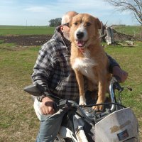 Haroldo José (@haroldomarchet2) 's Twitter Profile Photo Haroldo José (@haroldomarchet2) 's Twitter Profile Photo