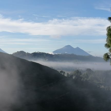 WilderMartin5's profile picture. Emprendedor Productor y Distribuidor de Fresa, consultor.