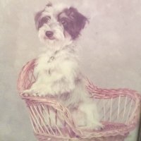 H D D ๐บ๐ธ HotDiggetyDam ๐บ๐ธ (@hotdiggetydam) 's Twitter Profile