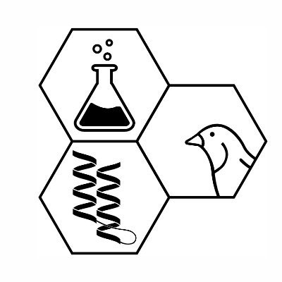 Bioinspired supramolecular chemistry lab at @URochesterChem! *Student run*