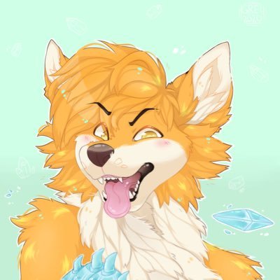 Connor Foxさんのプロフィール画像