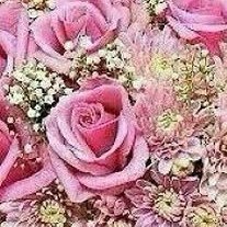 shaker032009's profile picture. ❤️❤️❤️