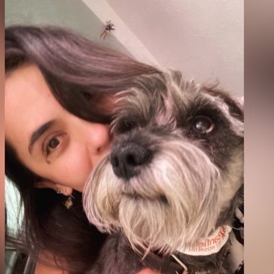 MMUOLI's profile picture. Milhouseeeee! Quéeeeee?, Dile a Bart que venga aquí. Creo que está con Nelsoooooon, ¿Quién es Nelsoooooon?