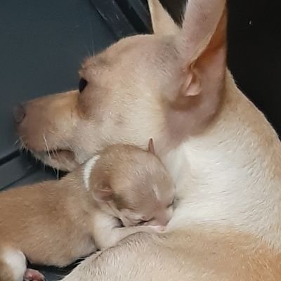 98Gantu's profile picture. 