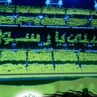 babagan12 (@babagan121) 's Twitter Profile Photo