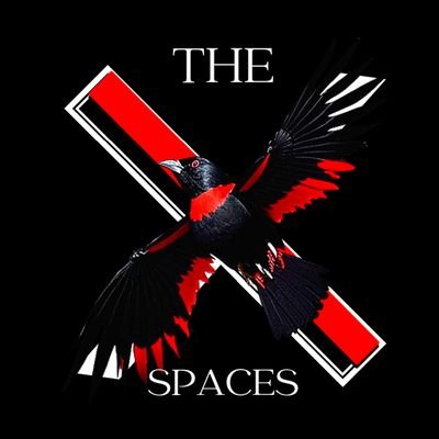 X SPACES, And Everything Else - Find me on YouTube, This Channels Got That X Factor