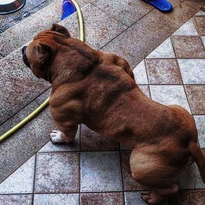 ugly_CDplayer's profile picture. 