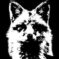 Desidia y Desden (@desidiaydesden) 's Twitter Profile Photo Desidia y Desden (@desidiaydesden) 's Twitter Profile Photo