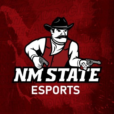 NMStateEsports Profile Picture