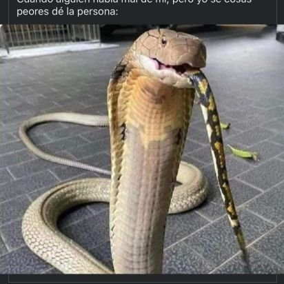 clevel_marvei's profile picture. 