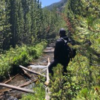 SapientNomad (@sapientnomad) 's Twitter Profile