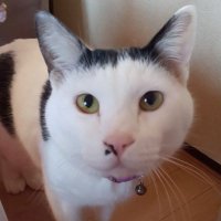 chaco🍜🥁🦆🎸 (@chappy1206ppo) 's Twitter Profile Photo chaco🍜🥁🦆🎸 (@chappy1206ppo) 's Twitter Profile Photo
