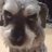 tweetthebeav's profile image