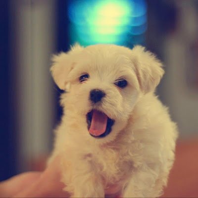 HwangInseon1742's profile picture. 