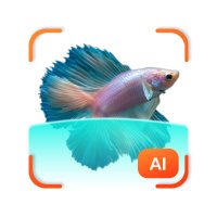 Fish Detect AI(@FishDetectAI) 's Twitter Profile Photo