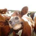 Mark Lynd - @luisislynd - Twitter