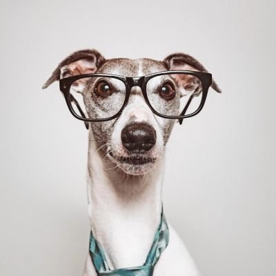 justnik69's profile picture. 