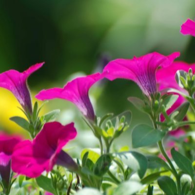 housan33372846's profile picture. 💯💯💯💯💯💯 folow back💯💯💯💯