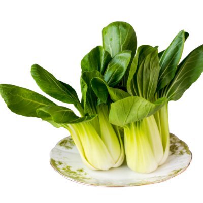 zkai67406's profile picture. 💯💯💯💯💯 folow back💯💯💯💯