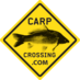 carpcrossing.com (@carpcrossing) Twitter profile photo carpcrossing.com (@carpcrossing) Twitter profile photo