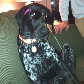 Wilmot_Bonnie's profile picture. Leader of the wolfpack