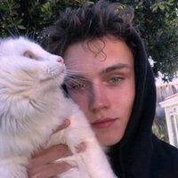 Maud Gard(i)ner (@maud_i53166) 's Twitter Profile