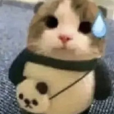 notveryup's profile picture. 