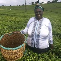 Meglee Farms (@megleefarms) 's Twitter Profile
