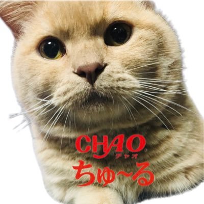 Milkyway_ms's profile picture. * 邦ろっく⇒キュウソネコカミ＊SHISHAMO＊クリープハイプ＊アルカラ…etc * * Game ⇒ Fortnite＊スプラトゥーン＊DeadbyDaylight ...etc*　ピクミンブルーム🌱