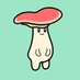 Mushroom Pharm 🍄 (@mushroompharm_) Twitter profile photo