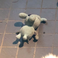 339 (@300yenmade) 's Twitter Profile Photo 339 (@300yenmade) 's Twitter Profile Photo