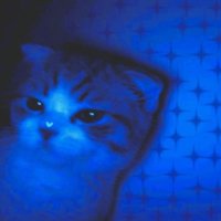 Azure edtwt🤸♀️👁️🗨️ (@azure_edtwt) 's Twitter Profile