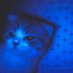 Azure edtwt🤸♀️👁️🗨️ (@azure_edtwt) Twitter profile photo Azure edtwt🤸♀️👁️🗨️ (@azure_edtwt) Twitter profile photo