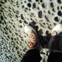 sa_19_ (Ａ@p)･3･(qﾌﾞﾆｰ) (@19_as_) Twitter profile photo