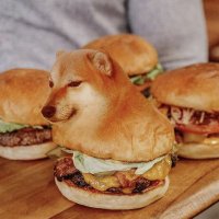 cheemsburger🐕🍔(@DarkVadoge) 's Twitter Profile Photo