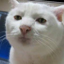 ArdimanDev33168's profile picture. 