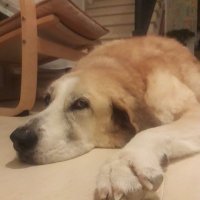 right winger (@basilparker2000) 's Twitter Profile