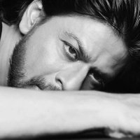 srk__fam__✨ fan account(@DharmeshDervan4) 's Twitter Profile Photo