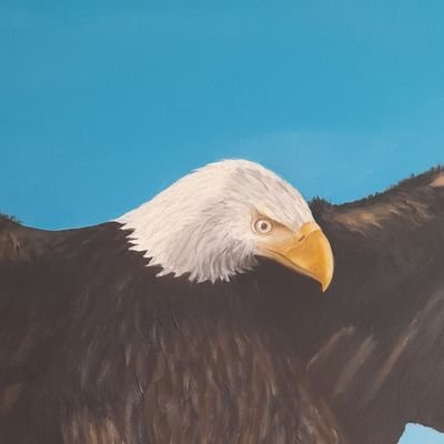 Bonginko01's profile picture. 