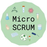 microSCRUM(@micro_SCRUM) 's Twitter Profile Photo