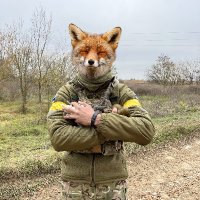 Лис Південний(@south_fox_) 's Twitter Profile Photo