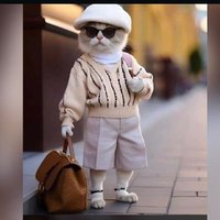 Mr kay ❤️$Block (@akinola22366752) 's Twitter Profile