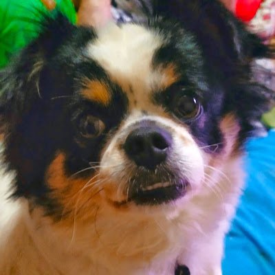 Thanida30446778's profile picture. 