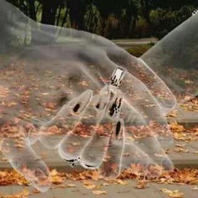 Evangelist49856's profile picture. 