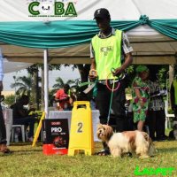 𝑭𝒐𝒖𝒓 𝑷𝒂𝒘𝒔 (@furpaws4) 's Twitter Profile Photo