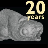 Uppsala Vertebrate Palaeontology Group (@uuvertpalaeo) Twitter profile photo